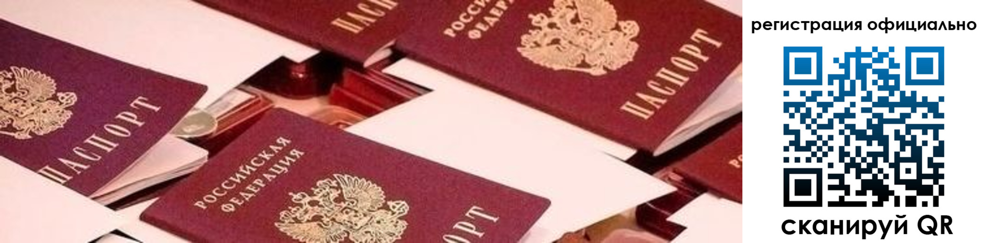 прописка для школы в Волосово